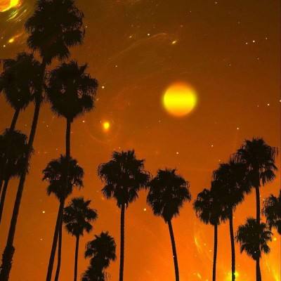 博鱼app下载手机版截图