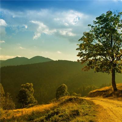 开yun体育官网入口登录苹果