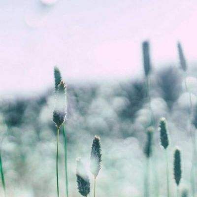 云开平台app最新版